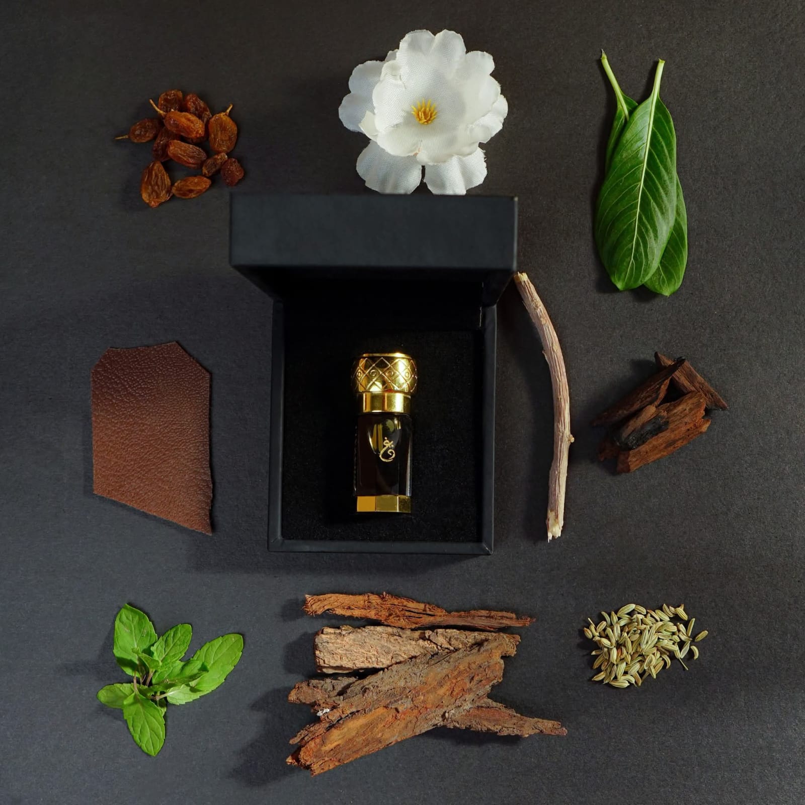 The Oud Collection