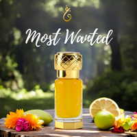 Most Wanted by Ghazali Fragrances